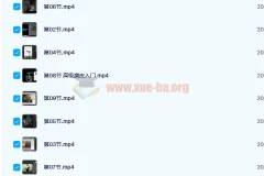 日系人像摄影私教课 20 课时完结