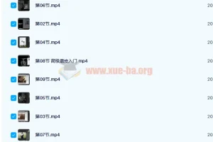 日系人像摄影私教课 20 课时完结