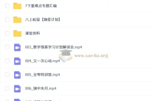 初中初二数学2025秋季思维开发8阶课程