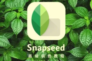 Snapseed从入门到精通：手机修图高手速成，一部手机修出摄影大片