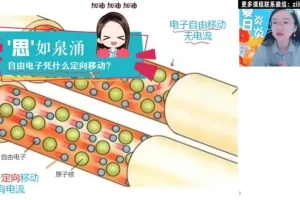 2024初三物理高效复习：廉思佳人教版全攻略