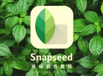 Snapseed从入门到精通：手机修图高手速成，一部手机修出摄影大片