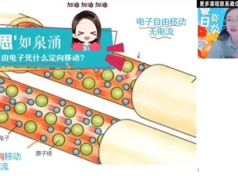 2024初三物理高效复习：廉思佳人教版全攻略