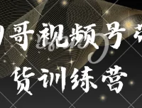 狗哥视频号带货训练营