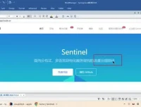 Spring Cloud 2024 实战：微服务架构与源码深度解析