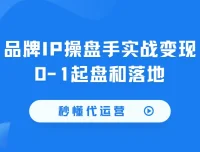 秒懂代运营：品牌IP操盘手实战变现0-1起盘和落地