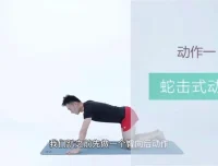 21天明星同款减脂塑形训练：告别赘肉，塑造天鹅臂、小蛮腰与翘臀