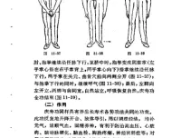 《中国古代养生长寿术：道家秘传回春功》