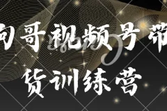 狗哥视频号带货训练营