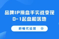 秒懂代运营：品牌IP操盘手实战变现0-1起盘和落地