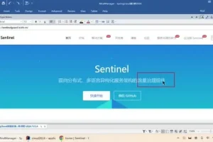 Spring Cloud 2024 实战：微服务架构与源码深度解析