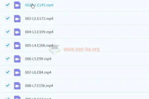 朱迪老师《新概念英语》一册精讲精练课程