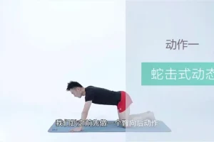 21天明星同款减脂塑形训练：告别赘肉，塑造天鹅臂、小蛮腰与翘臀