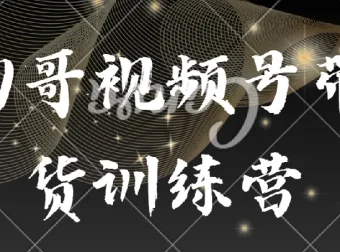 狗哥视频号带货训练营