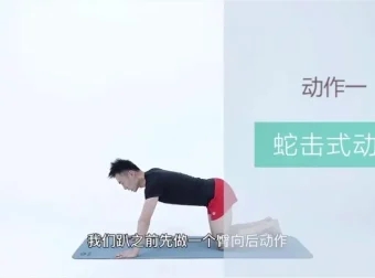 21天明星同款减脂塑形训练：告别赘肉，塑造天鹅臂、小蛮腰与翘臀