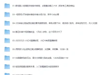 《2025网创项目合集：事业赚钱必学教程》