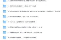 《2025网创项目合集：事业赚钱必学教程》