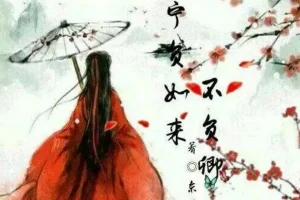 古风言情《不负如来不负卿》117集全