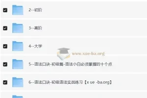 原原高ING英语课程合集：覆盖小初高至大学阶段的英语学习资源