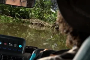 安迪的海底冒险全15集儿童海洋探险动画