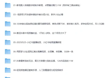 《2025网创项目合集：事业赚钱必学教程》