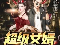 有声小说《超级女婿》（又名《豪婿（上门女婿韩三千）》）