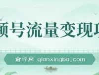 视频号流量变现课程：每天几分钟，轻松日入100+