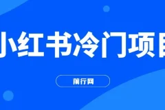 小红书十万个为什么科普项目：3分钟生成原创文字动画视频，轻松变现