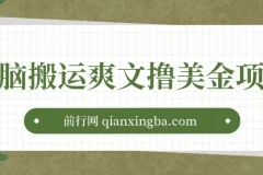 通过搬运国内爽文赚美金项目：操作简单，收益可观