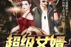 有声小说《超级女婿》（又名《豪婿（上门女婿韩三千）》）