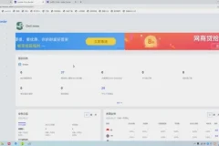 熊猫老师Lazada系统东南亚电商课：跨境店与本土店运营课程