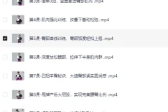 12节在家练出性感蜜桃臀课程：让臀部圆紧翘