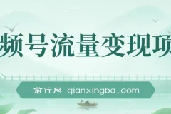 视频号流量变现课程：每天几分钟，轻松日入100+