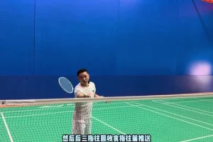 迪迪王羽毛球38节假动作实战课：全场地假动作技术解析