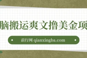 通过搬运国内爽文赚美金项目：操作简单，收益可观