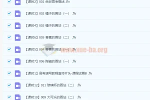 中央美院艺术高考美术速写与素描视频教程课程