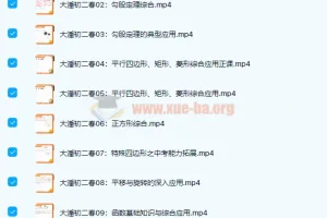 潘佳生初二数学春季班课程（2021 春）15 讲完结