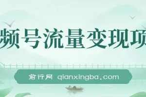 视频号流量变现课程：每天几分钟，轻松日入100+