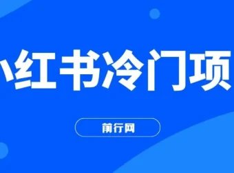 小红书十万个为什么科普项目：3分钟生成原创文字动画视频，轻松变现