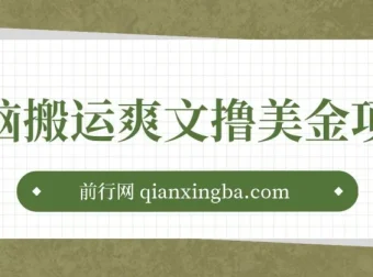 通过搬运国内爽文赚美金项目：操作简单，收益可观