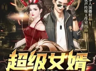 有声小说《超级女婿》（又名《豪婿（上门女婿韩三千）》）