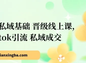 跨境私域基础与晋级线上课：TikTok引流与私域成交