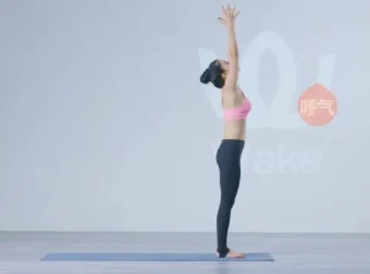 王媛24式瑜伽体式精讲课程（零基础入门）