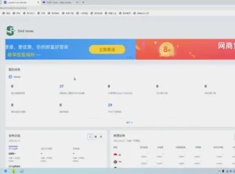 熊猫老师Lazada系统东南亚电商课：跨境店与本土店运营课程