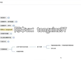 最新国学引流项目揭秘：抓住风口，轻松搞钱，日引流100+月变现3W