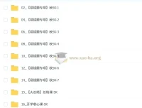 王丁玉初中初二数学秋上数理思维自主学习·SK（4期）