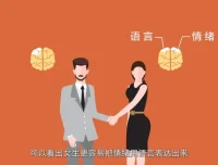 混沌大学洪兰认知心理学课程：快思慢想与决策