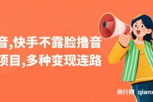 抖音、快手不露脸撸音浪项目：多种变现路径课程