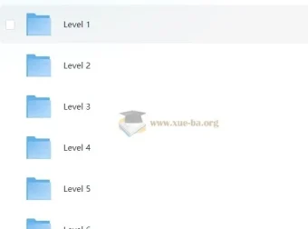 猫博士 有道分阶写作课 (Level 1 – 6)