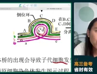 2024高三毛慧生物冲刺班：必修选修考点精讲